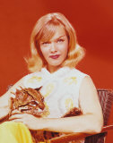 Buy Anne Francis at AllPosters.com