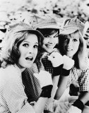 Buy Petticoat Junction at AllPosters.com
