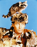 Buy Fess Parker at AllPosters.com