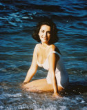 Buy Elizabeth Taylor at AllPosters.com