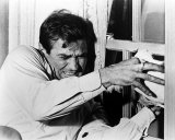 Rod Taylor