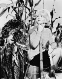 Joey Heatherton