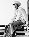 Steve McQueen