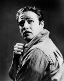 Buy Marlon Brando at AllPosters.com