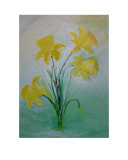 Buy Daffodil at AllPosters.com