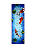 Koi Delight