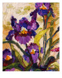 Buy Blue Purple Bearded Irises Oil Painting at AllPosters.com