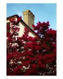 Buy Charleston Chimney 2 at AllPosters.com