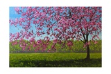 Buy Pink Blossoms IX at AllPosters.com