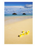 Buy Plumerias On The Sand at AllPosters.com