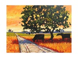 Buy Cows Beside A Dirt Road at AllPosters.com