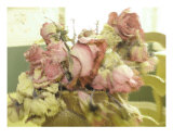 Buy An Illusion Of Roses at AllPosters.com
