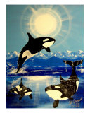Buy Killer Orca Whale Whales at AllPosters.com