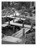 Buy Zig-Zag Bridge at AllPosters.com