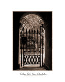 Buy College Of Charleston Gate View In Sepia at AllPosters.com