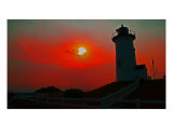Buy Tranquil Harmony Sunset At Nobska at AllPosters.com