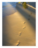 Buy Footprints-1 at AllPosters.com