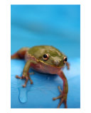 Buy Just Got Done Swimming at AllPosters.com