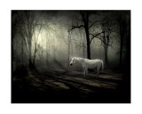 Buy The Last at AllPosters.com
