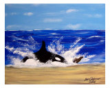 Buy Killer Orca Whale Chases Seal Sea Lion at AllPosters.com