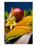 Buy Mango at AllPosters.com