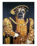 English Bull Dog As Holbeins Henry VIIi