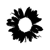 Buy Black And White Abstract Daisy at AllPosters.com