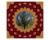 Buy Gods Creation Thank You at AllPosters.com