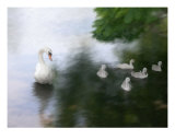 Buy Family Pride at AllPosters.com