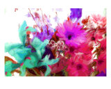 Buy Brilliant Splash Of Color at AllPosters.com