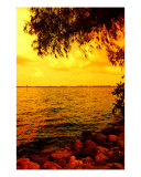 Across The Shore