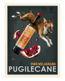 Pugilecane - Boxer