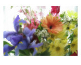 Buy Awash In Flowers at AllPosters.com