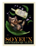 Soyeux Bitteres Qualite - Yorkie