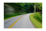 Buy Forest Road Trip at AllPosters.com