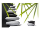 Bamboo Balance