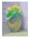 Buy Painted Yellow Begonias at AllPosters.com