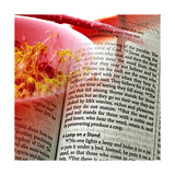 Buy The Seed Is The Word Of God at AllPosters.com