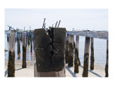 Old Ocean Dock II