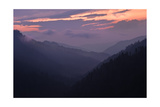 Buy Mountain Mist at AllPosters.com