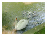 Buy A Proud Moment at AllPosters.com
