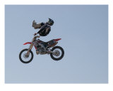 Buy Bar Hop at AllPosters.com