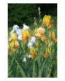 Buy Dreamy Summer Garden at AllPosters.com