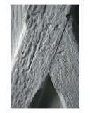 Close Up Of An Old Wood Panel Door