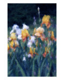 Buy Painted Iris at AllPosters.com
