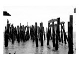 Old Ocean Dock III