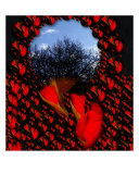 Buy A Wonderful World Given Us at AllPosters.com