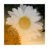 Come A Little Closer Giclee Print