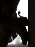 Cowgirl's Boot Silhouette, Flitner Ranch, Shell, Wyoming, USA