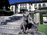 Buy Two Russian Blue Cats Sunning on Garden Stone Steps, Italy at AllPosters.com